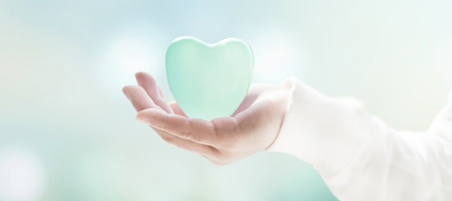 省エネ適合性判定業務