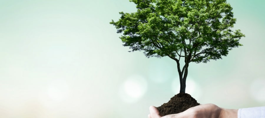 低炭素建築物新築等計画に係る技術的審査業務